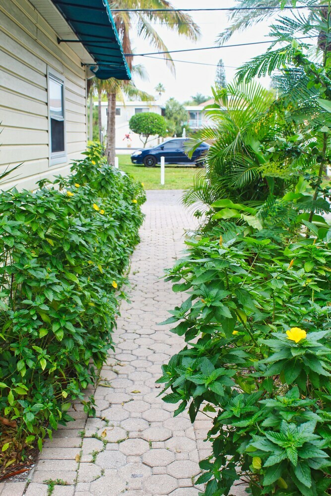 Treasure Island Vacations By Techtravel