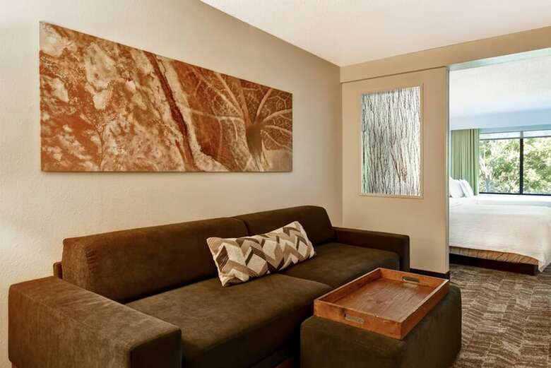 Hotel Springhill Suites By Marriott Atlanta Kennesaw