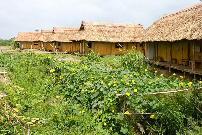 Bed & Breakfast Nguyen Shack Can Tho