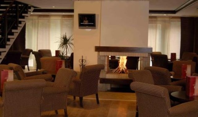 Hotel Lion