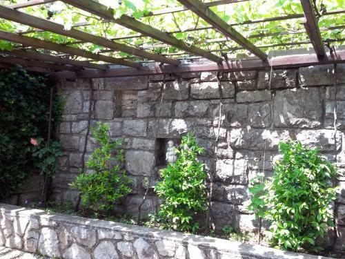Apartments Villa Martina