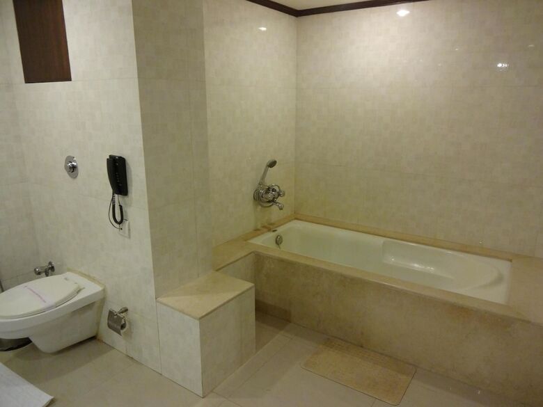 The Hotel Hindusthan International