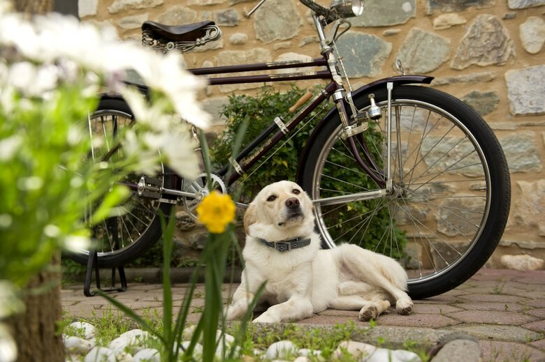 Hotel Taleton Eco Guest House