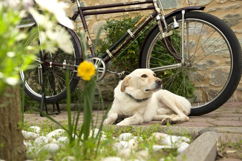 Hotel Taleton Eco Guest House