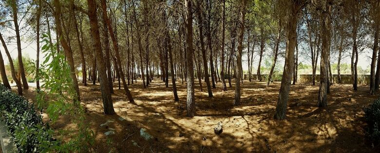 Bed & Breakfast Tenuta Doxi