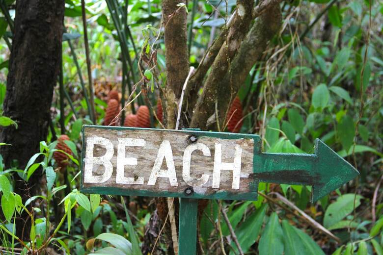 Hotel Copa de Arbol Beach & Rainforest Resort