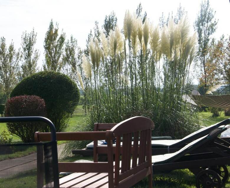 Apartamentos Treetops Cottages & Spa