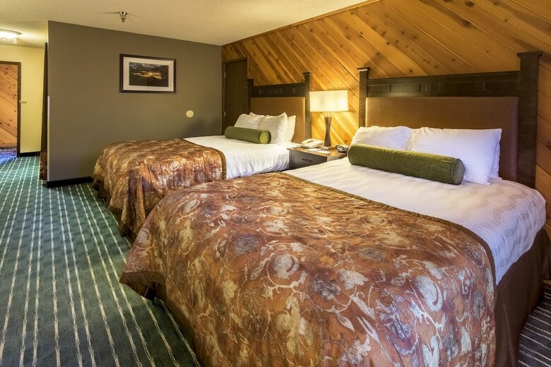 Hotel Best Western Plus Tree House