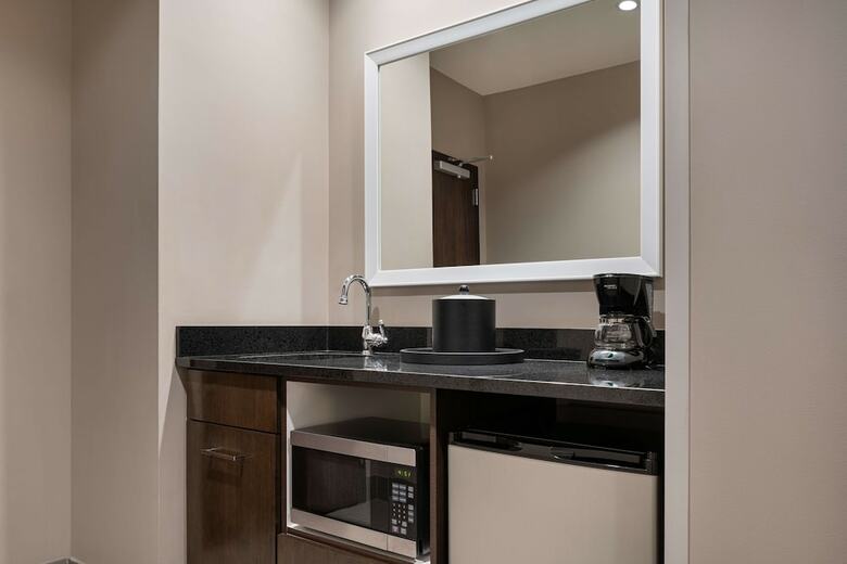 Hotel Hampton Inn & Suites Denver Downtown-convention Center