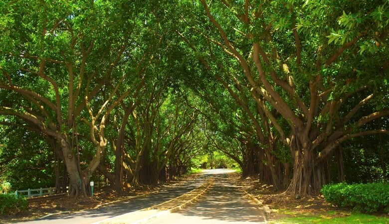 Apartamento Kauai Beach Resort