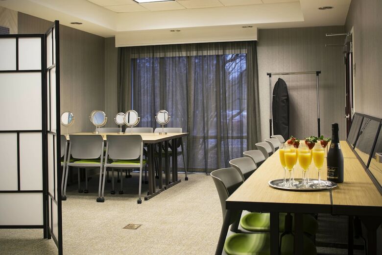 Hotel Springhill Suites By Marriott Chicago Lincolnshire