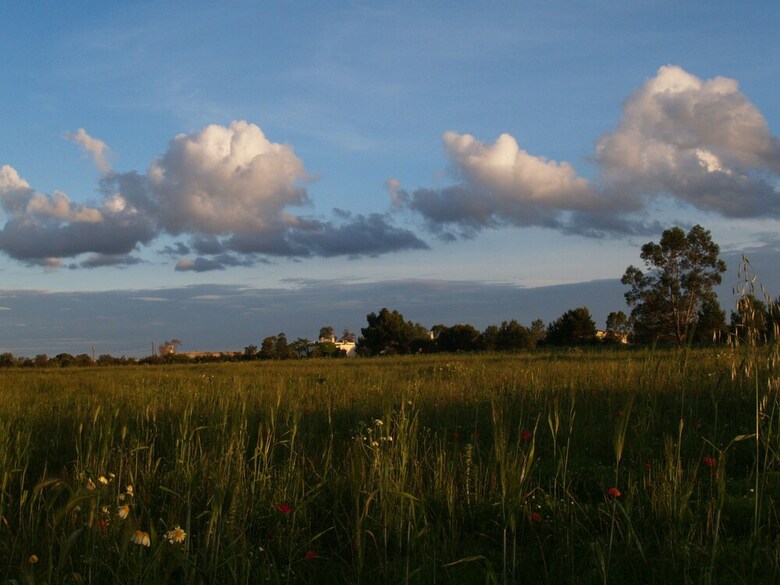 Agroturismo Masseria La Torre