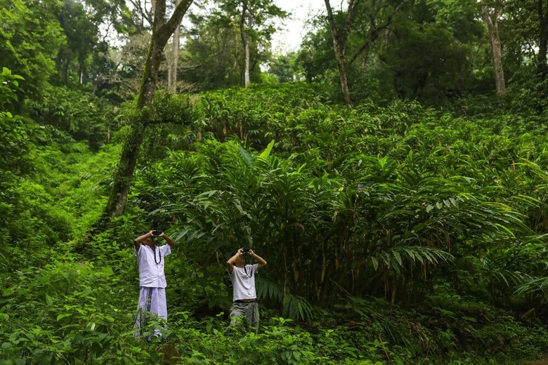Hotel Kaivalayam Retreat