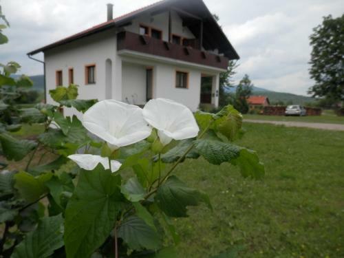 Hostal Guesthouse Matija