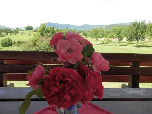 Hostal Guesthouse Matija