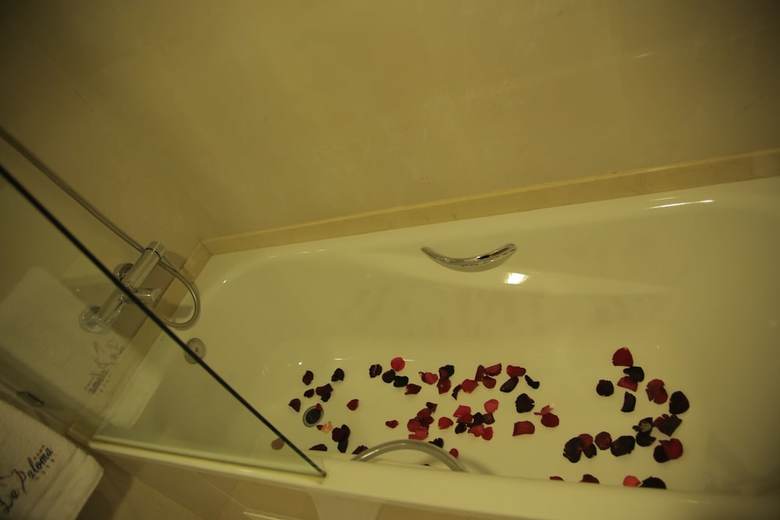 Hotel H�tel La Paloma