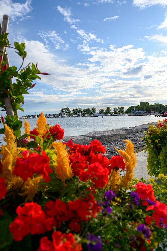 Hotel The Harbourfront Inn