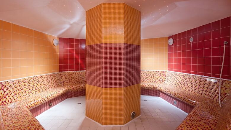 Wellness Hotel Frymburk