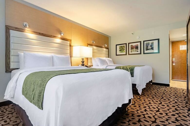 Hotel Comfort Inn Raleigh Midtown