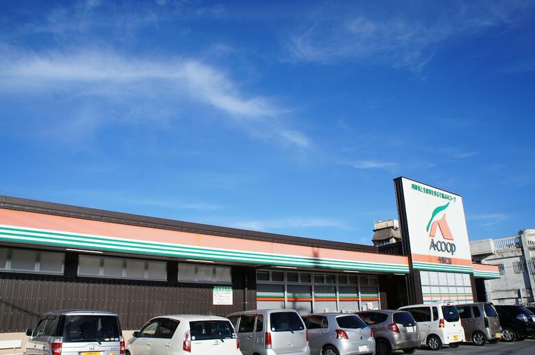 Hotel Condominium Ceaser Nakijin