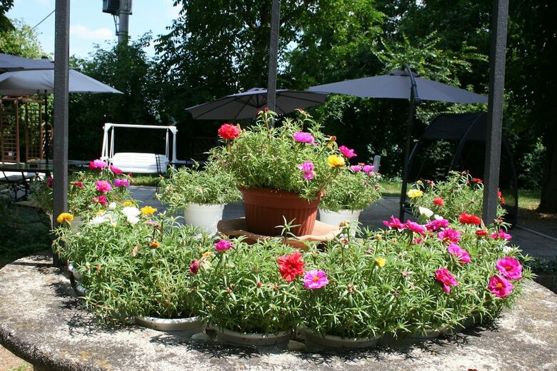 Apartamento Residence Alle Scuole