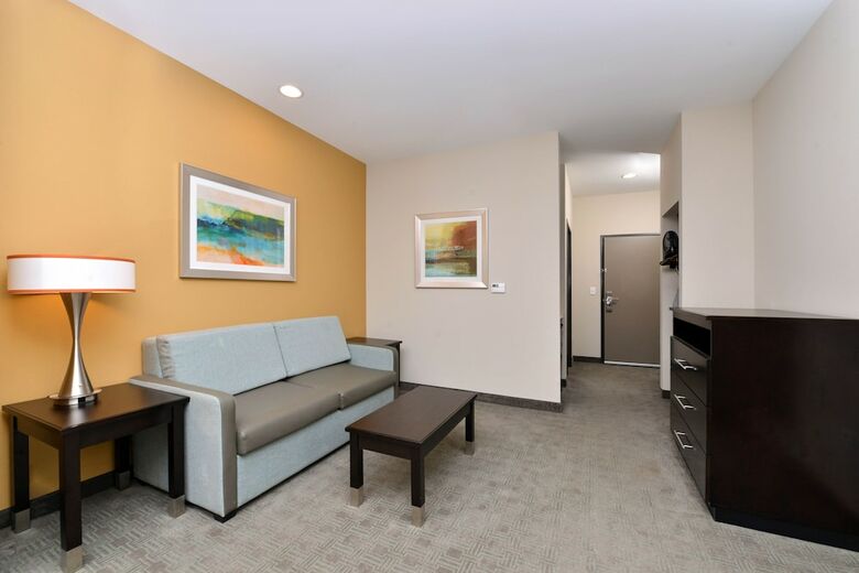 Hotel Holiday Inn Express & Suites Austin South