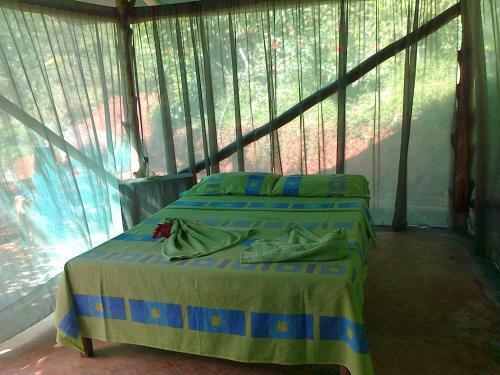 Isla Violin Eco-lodge