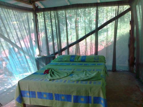 Isla Violin Eco-lodge