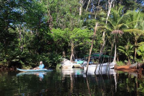 Isla Violin Eco-lodge