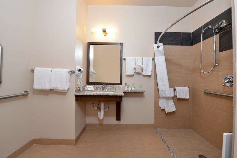 Hotel Holiday Inn Express & Suites Globe