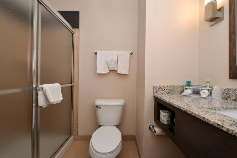 Hotel Holiday Inn Express & Suites Globe
