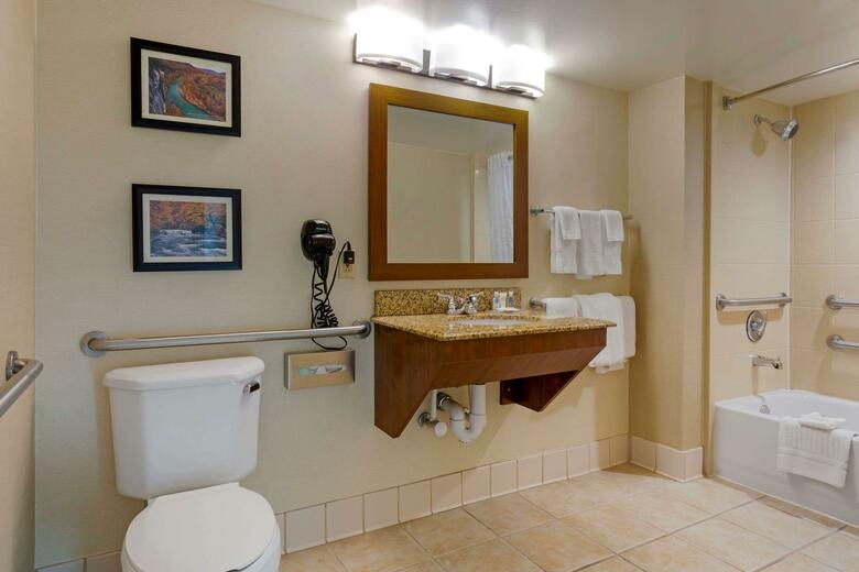 Hotel Comfort Inn & Suites Downtown