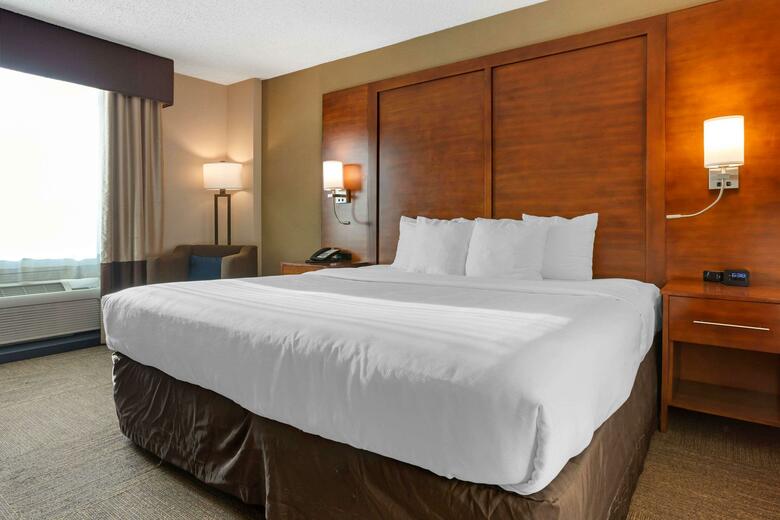Hotel Comfort Inn & Suites Downtown