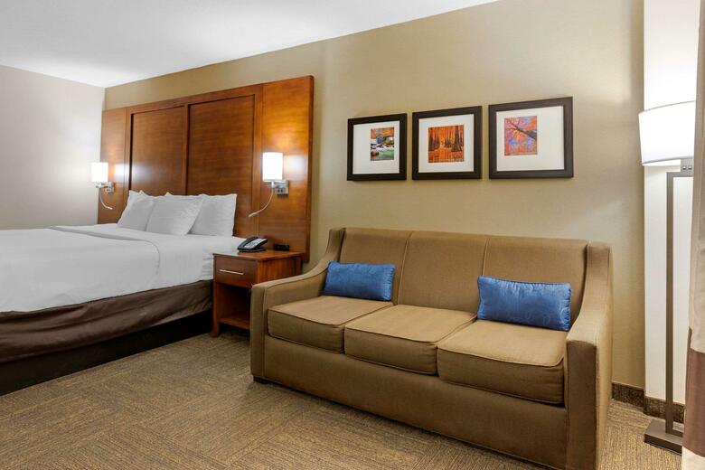 Hotel Comfort Inn & Suites Downtown