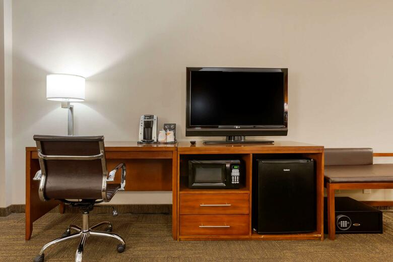Hotel Comfort Inn & Suites Downtown