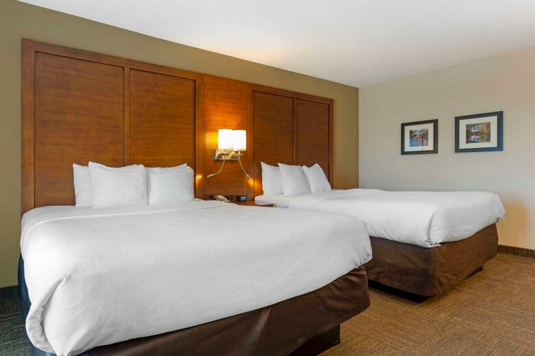 Hotel Comfort Inn & Suites Downtown