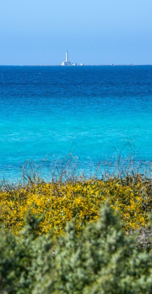 Ecoresort Le Siren� - Caroli Hotels