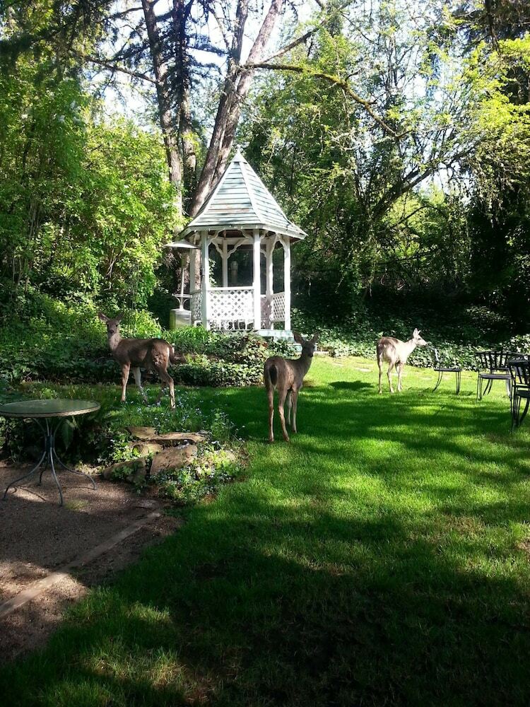 Bed & Breakfast Campbell House Inn