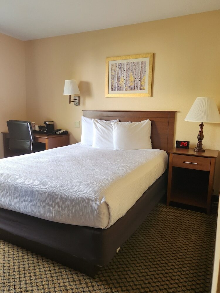 Hotel Luxury Inn And Suites