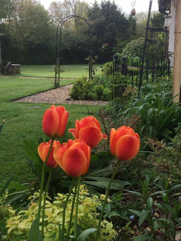 Woodacre B&B