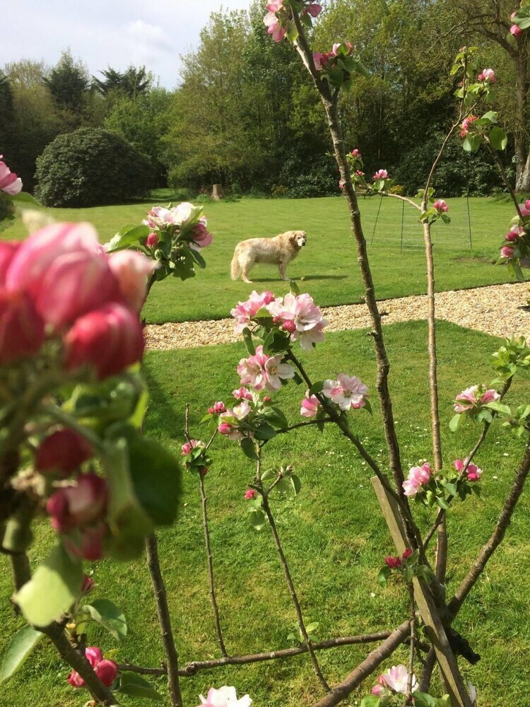 Woodacre B&B