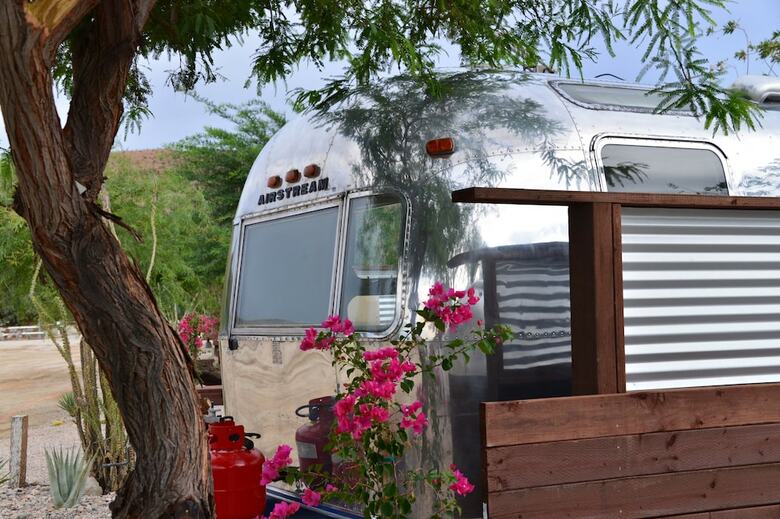 Motel Palm Canyon Hotel & Rv Resort