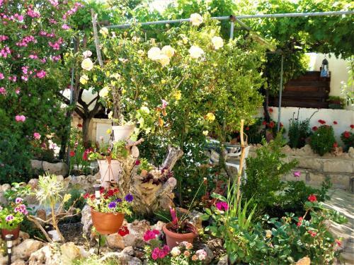 Rose Garden Villa Peristerona