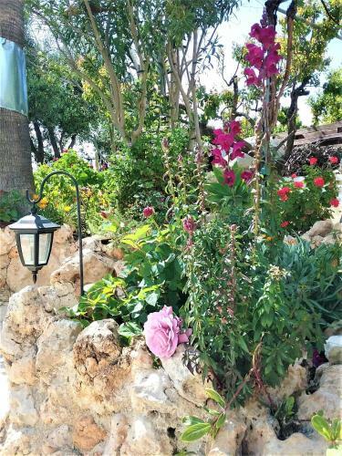 Rose Garden Villa Peristerona