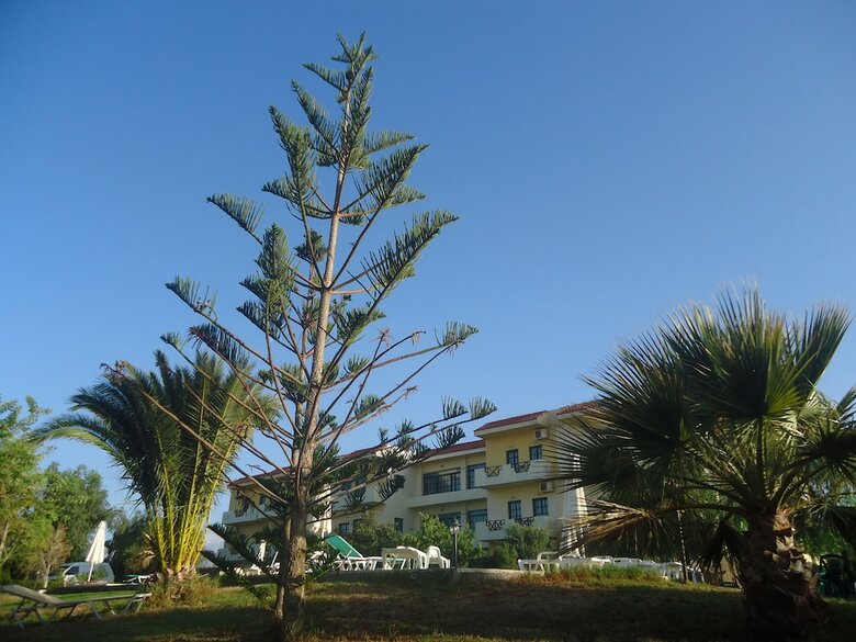 Aparthotel Portokali Apartments (12+)