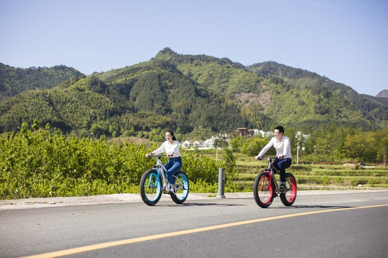 Apartamento Banyan Tree Huangshan