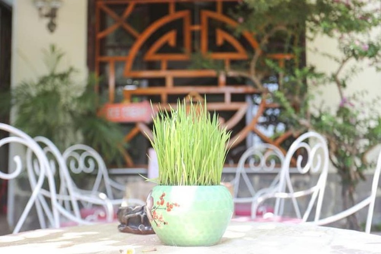 Bed & Breakfast Hoang Trinh Hotel