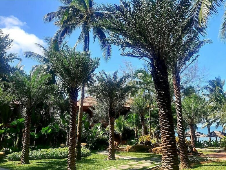 Hotel Coco Palm Beach Resort & Spa