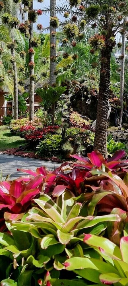 Hotel Coco Palm Beach Resort & Spa