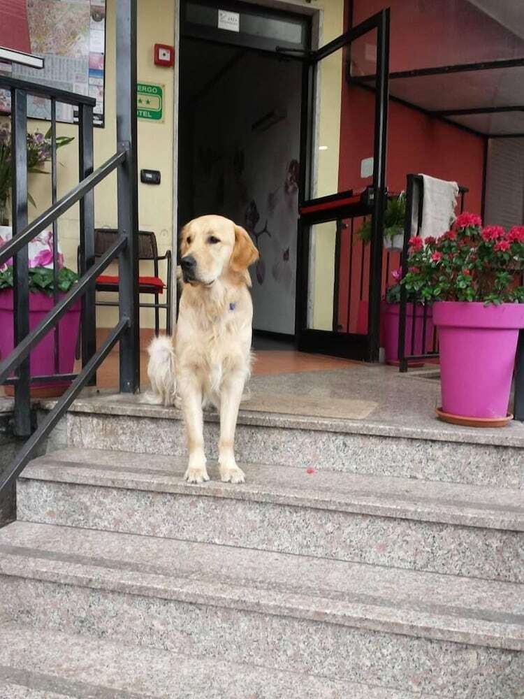 Hotel Albergo Renato